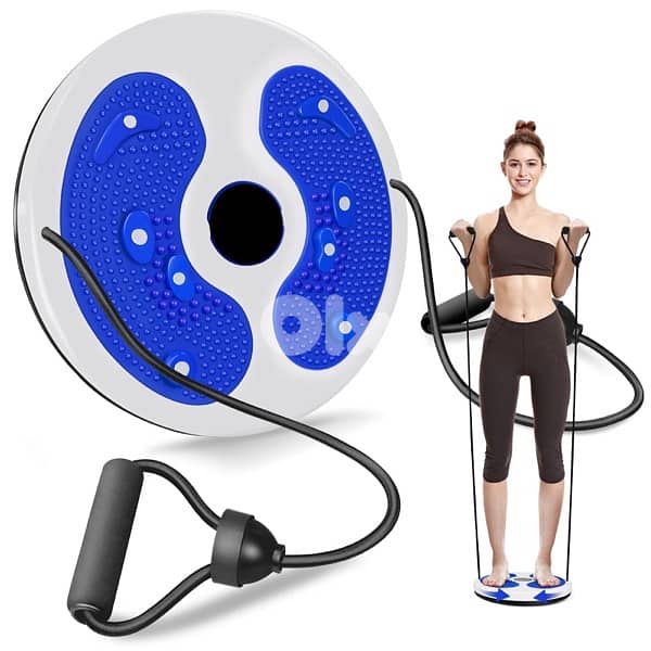 Waist twisting disc 0