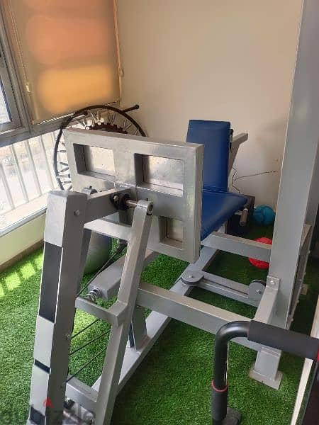 leg press 1