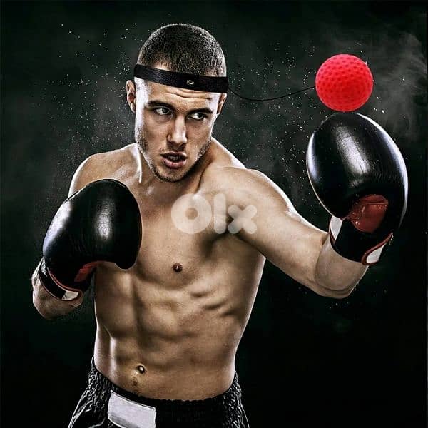 Boxing Reflex Balls 3pcs 2