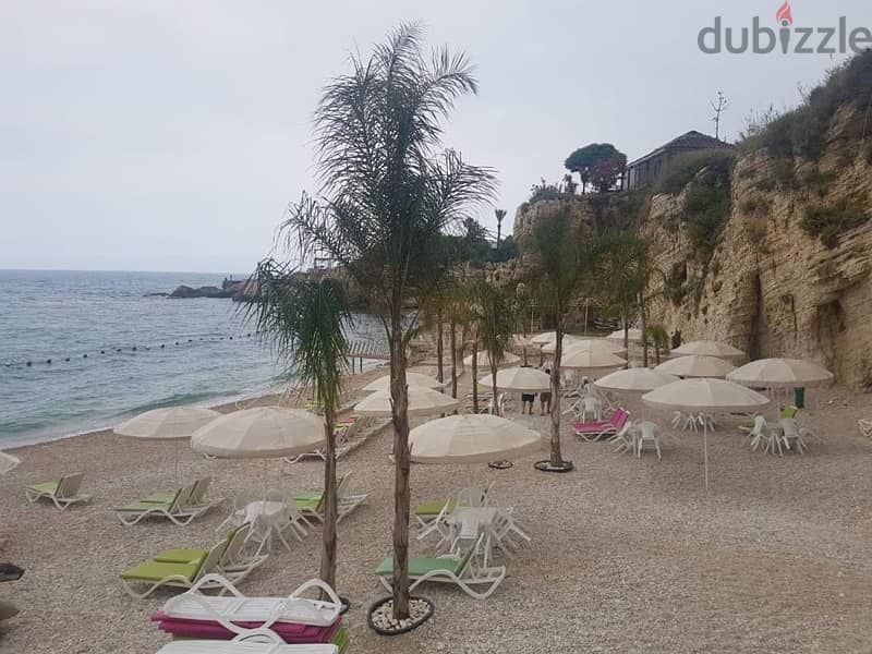 Cabin for rent  Aquamarina1 - 1550$ cash / whatsapp 009613846816 4