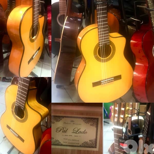 flamingo Spanish guitar 0