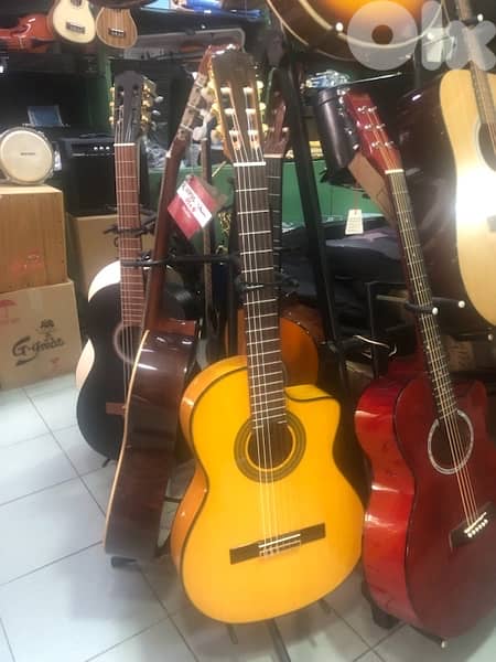 flamingo Spanish guitar 2