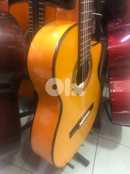 flamingo Spanish guitar 3