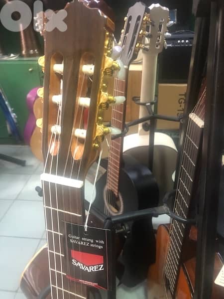 flamingo Spanish guitar 4