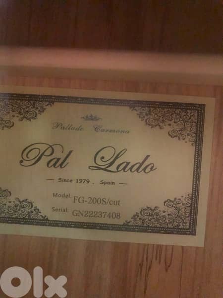 flamingo Spanish guitar 5