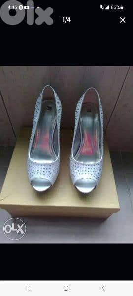 اسكربينة رسمي 0