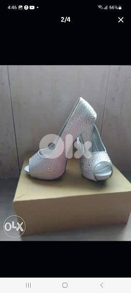 اسكربينة رسمي 1