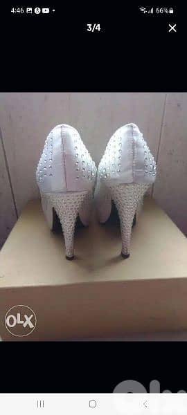 اسكربينة رسمي 2