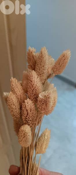 decoration. used one time for home occasion 3