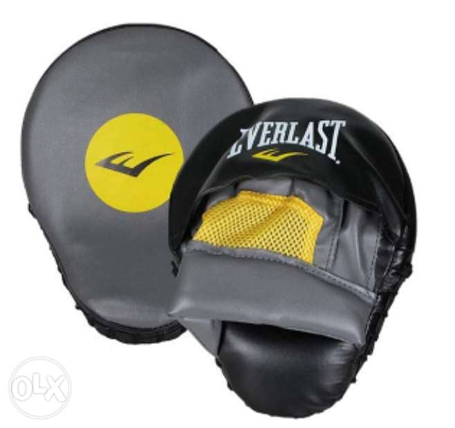 New Focus Everlast Mitts 1