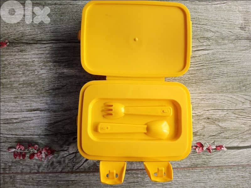 excellent lunchboxes 10