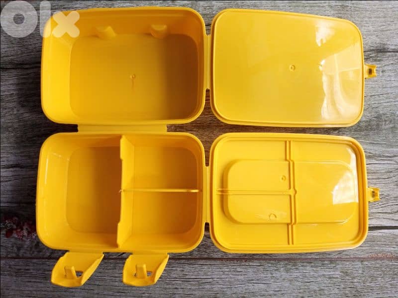 excellent lunchboxes 9