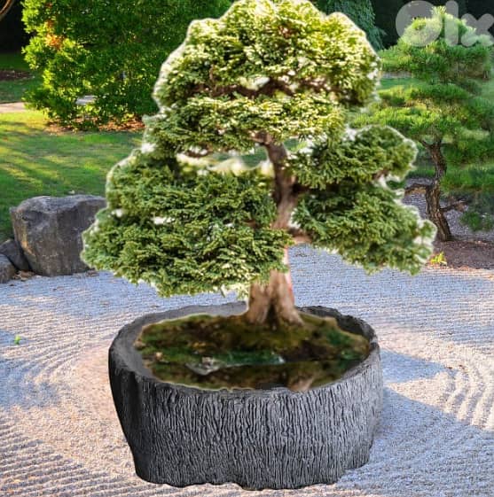 Concrete Bonsai planter 0