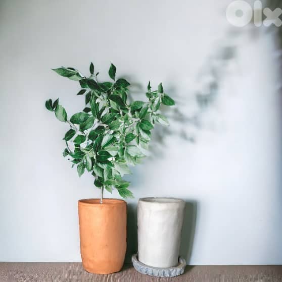 Concrete round planters 3