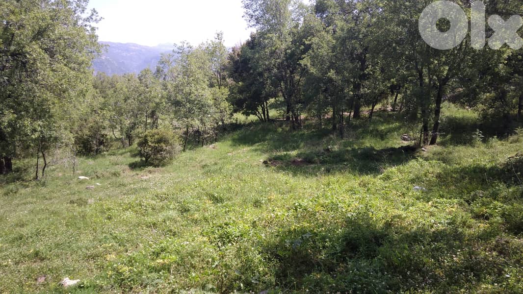 L12164-2300 SQM Land for Sale With Great Mountain View in Bikfaya 1