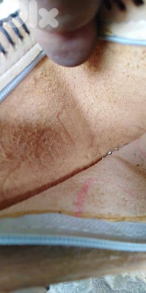 محفظه جلد. . . . . . 1