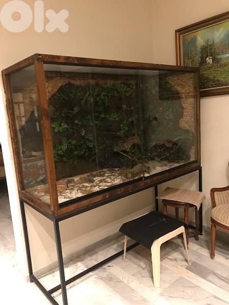 Reptile/Pet Vivarium/Terrarium/Enclosure 1