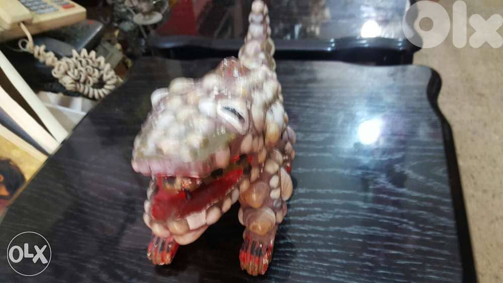 تمساح صدف مميز 1