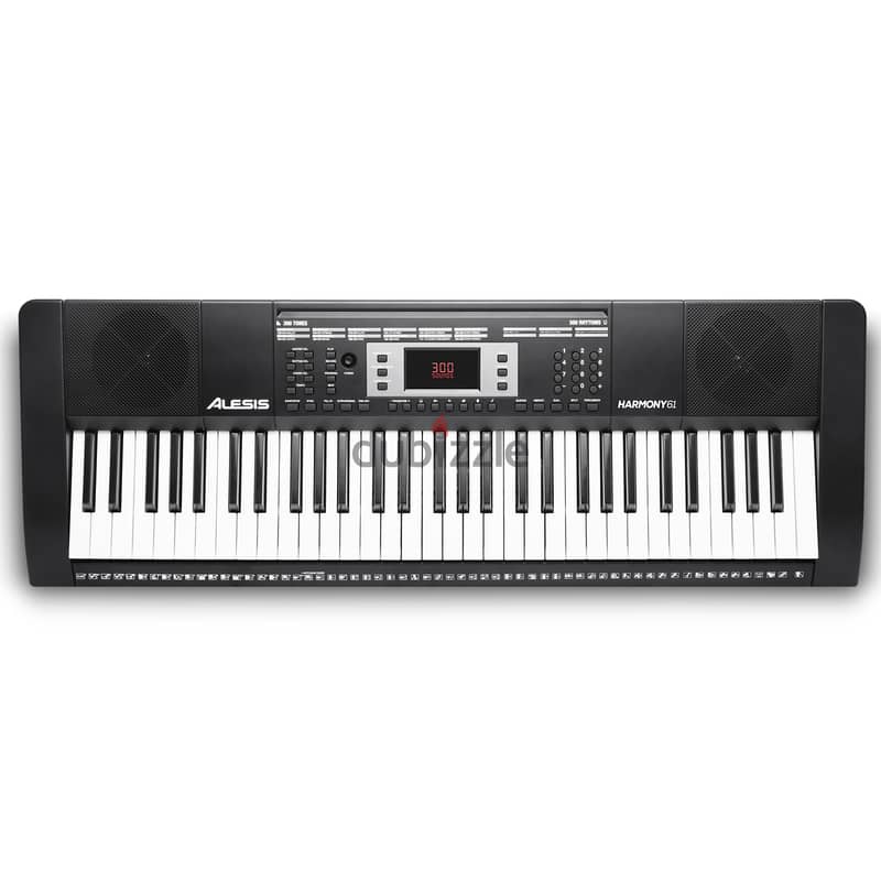 Alesis Harmony 61 Pro 61-Key Portable Arranger Keyboard full package 2