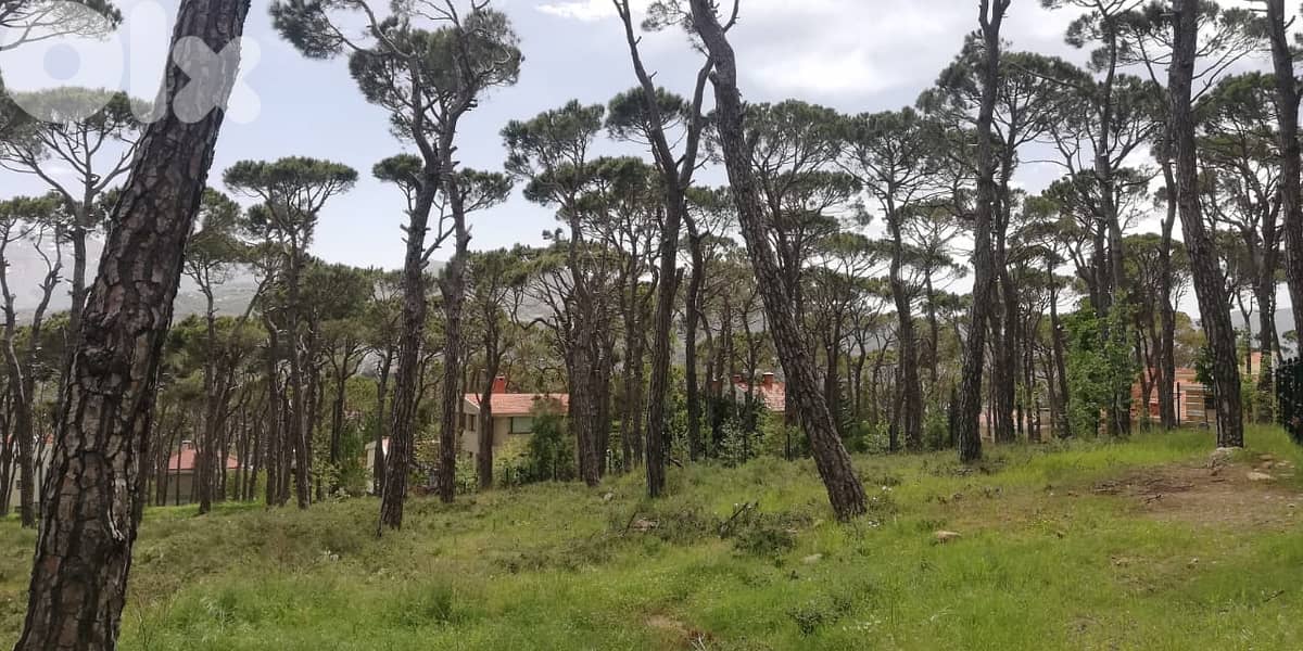 L12332-A Unique Land With Amazing Green View for Sale In Bolonia 1