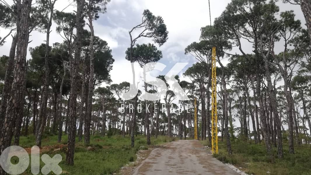 L12332-A Unique Land With Amazing Green View for Sale In Bolonia 0