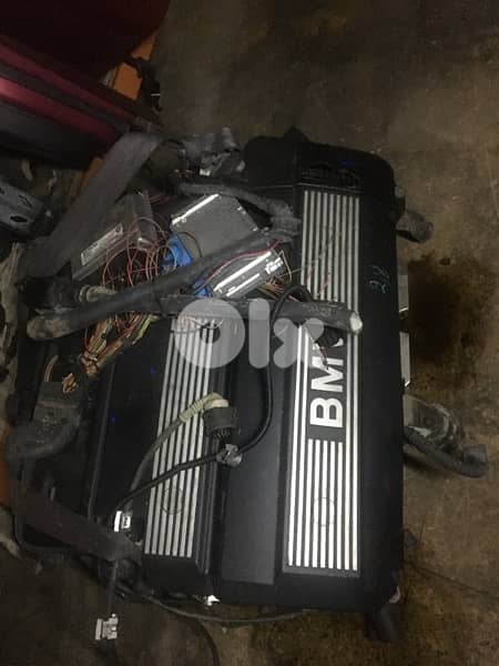 Mercedes and BMW motor & vitesse 10