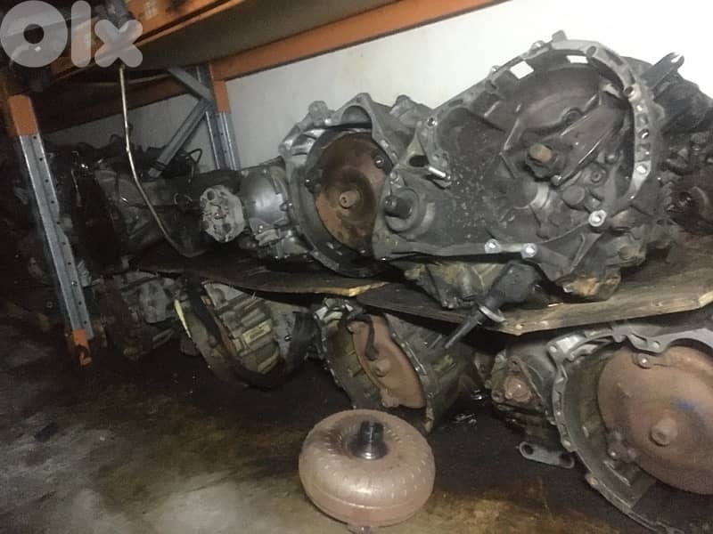 Mercedes and BMW motor & vitesse 12