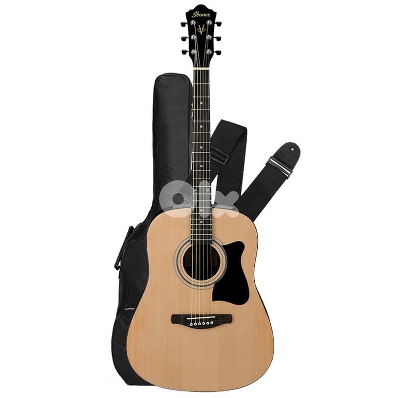 Ibanez VC50NJP acoustic NT Natural 0