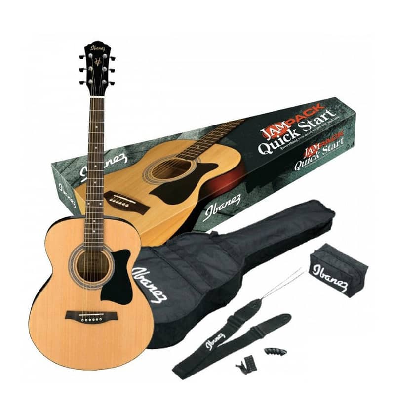 Ibanez VC50NJP acoustic NT Natural 1
