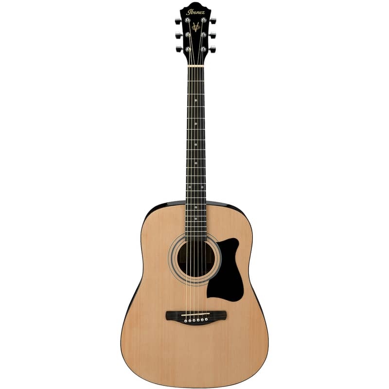 Ibanez VC50NJP acoustic NT Natural 2