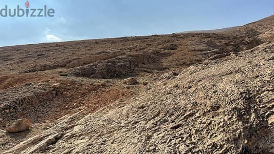 Land for sale in ras baalbak ارض للبيع في راس بعلبك