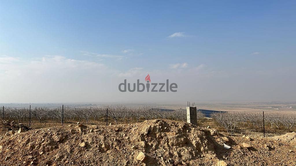 Land for sale in ras baalbak ارض للبيع في راس بعلبك 4