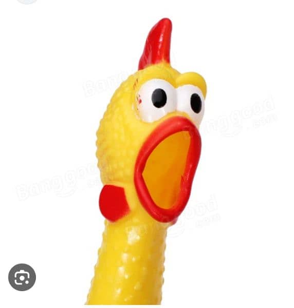 hilarious screaming chicken 1
