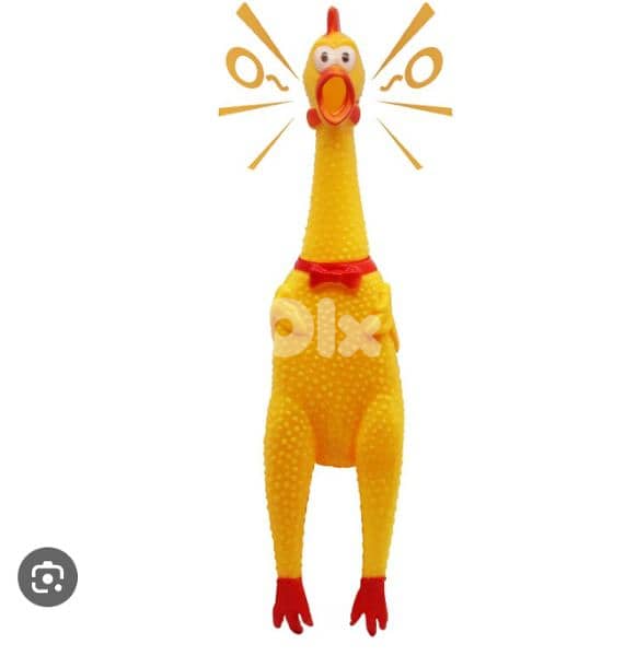 hilarious screaming chicken 2