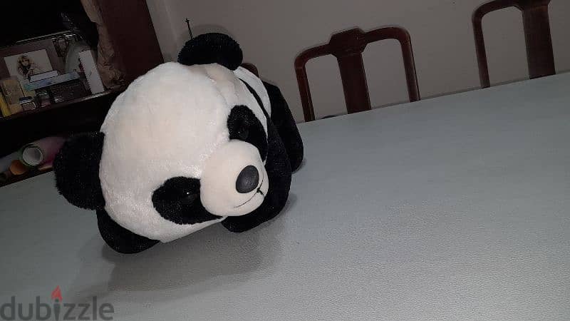panda 1