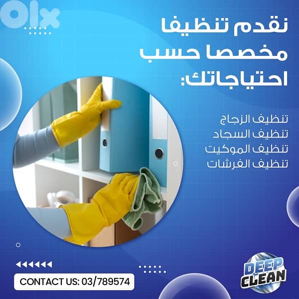 Professional CLeaners 1