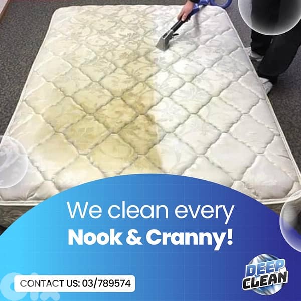 Professional CLeaners 2