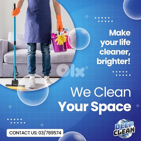 Professional CLeaners 3