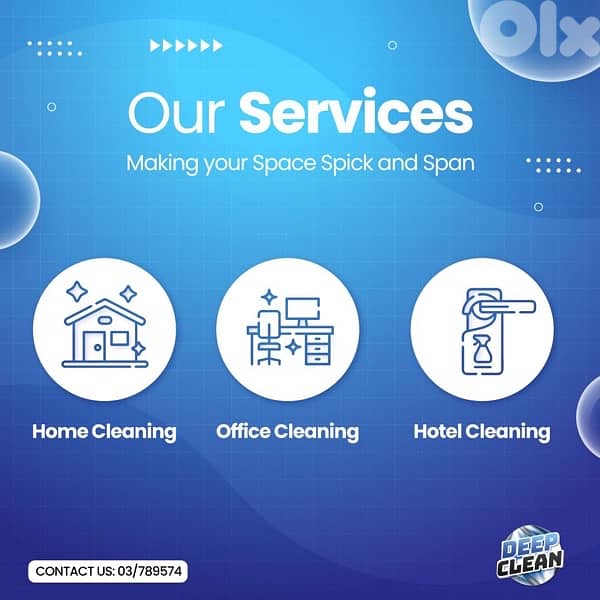 Professional CLeaners 4