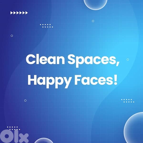 Professional CLeaners 6