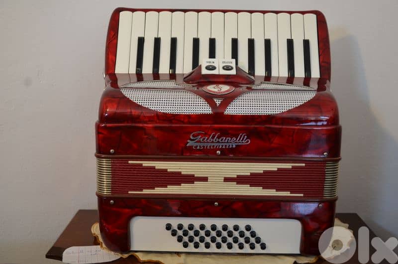 The Accordeon Shop/////Accordion Service 8