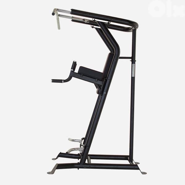 Inspire Vertical Knee Raise 1