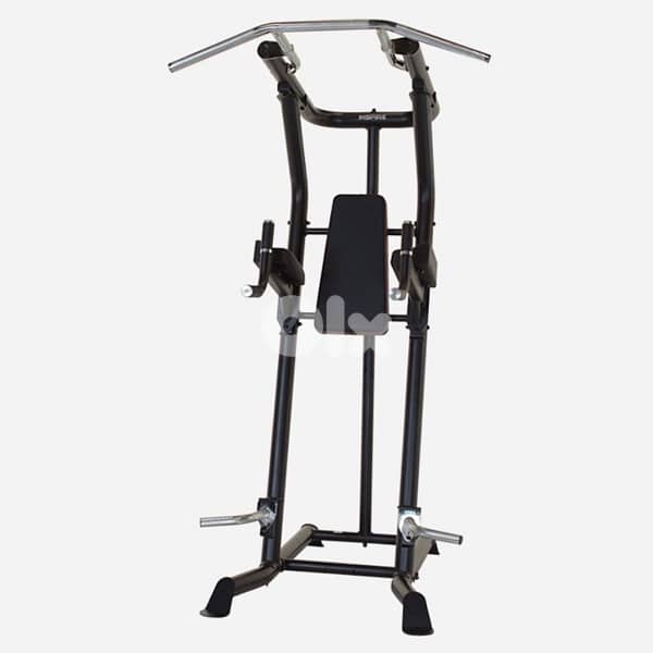 Inspire Vertical Knee Raise 2