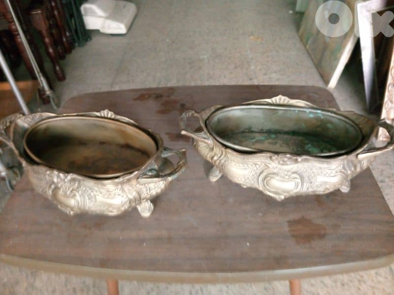 جردينيار صغير عدد 2 0