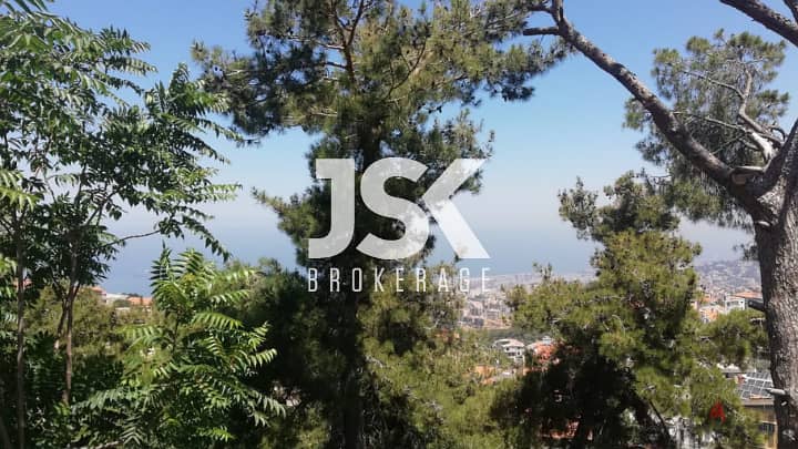 L12531-2000 SQM Land for Sale in Roumie 0