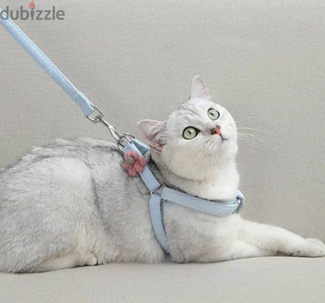 Adjustable Pet Leash for Small Dogs and Cats 2