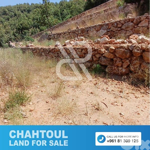 Beautiful Land for Sale in chahtoul - أرض للبيع في شحتول 3