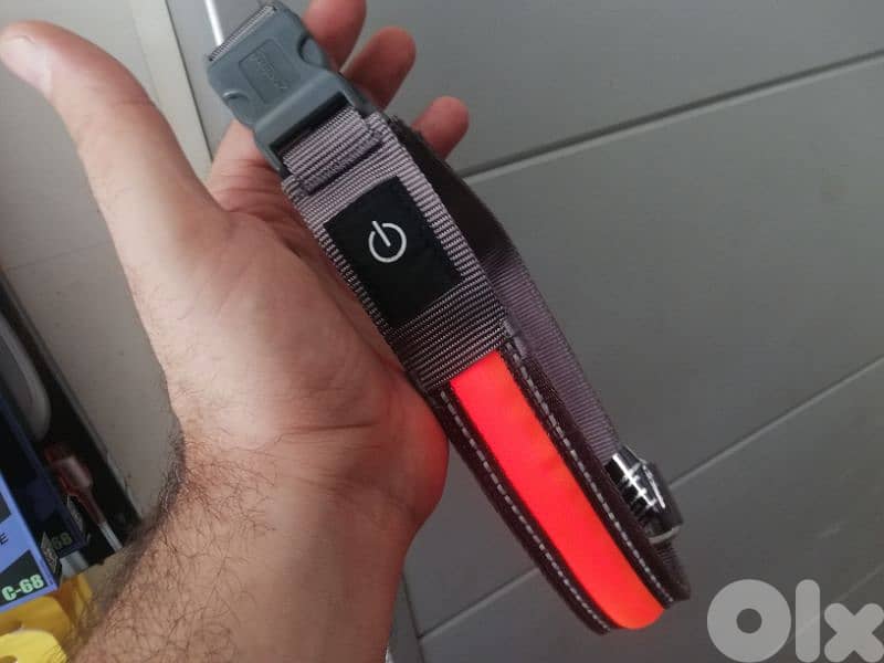 Zoofari dog Led Collar 0