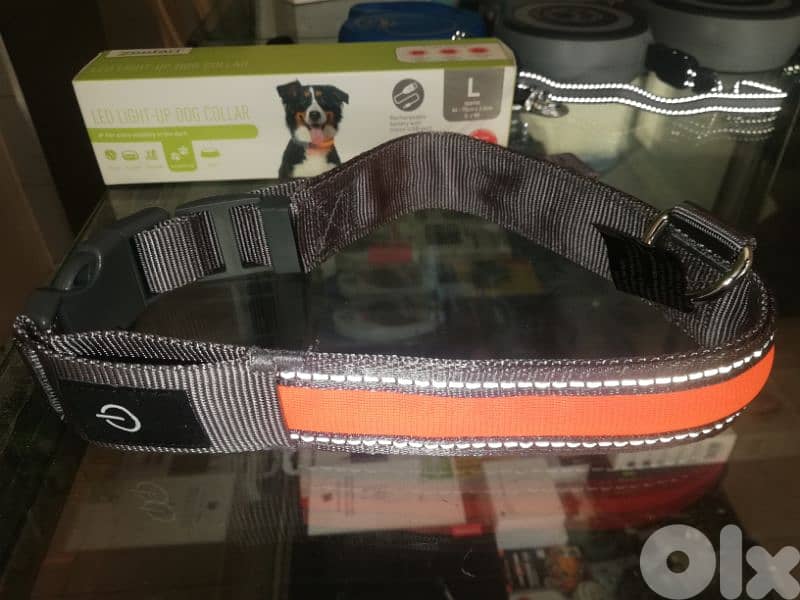 Zoofari dog Led Collar 1