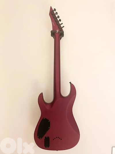 B. C. RICH assassin pro